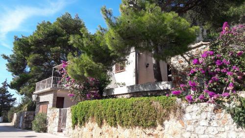 Apartment Magdalena
