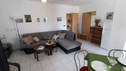 Apartment Klimno 1