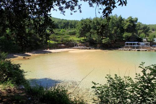 Seaside Apartments With A Swimming Pool Jelsa, Hvar - 2067