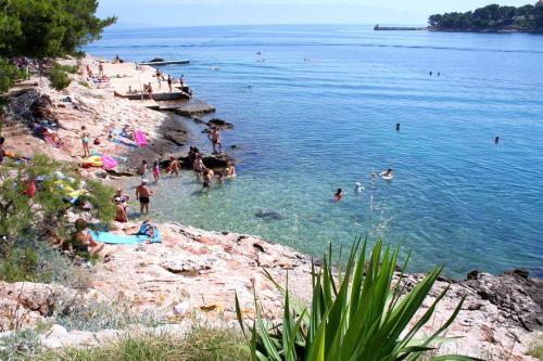 Seaside Apartments With A Swimming Pool Jelsa, Hvar - 2067