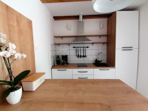 Lolo Apartment