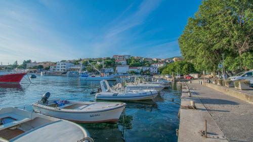 Apartment Vincent With Beautiful Sea View Terrace