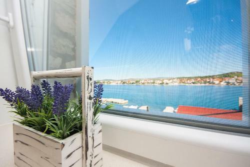 Apartments Dalmata