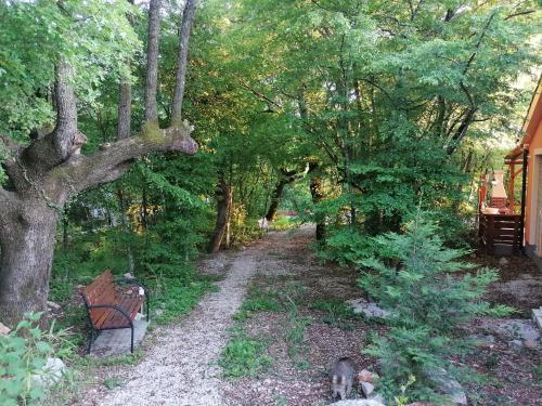 The Forest House Krk 2