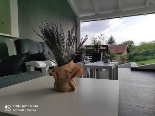 Agroturismo Jakop Hof