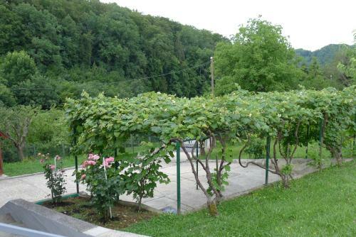 Agroturismo Jakop Hof