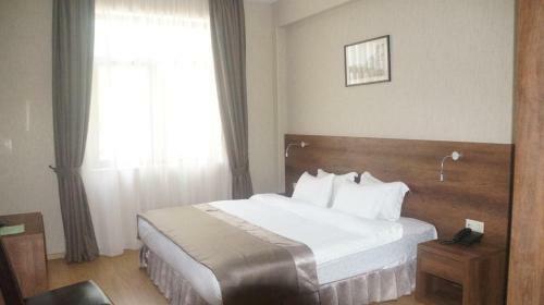 Hotel Metekhi Line