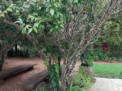 Espa�o Inteiro Com Piscina Aquecida