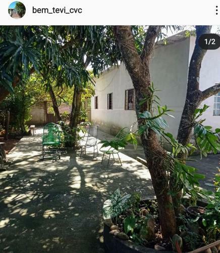 Bem-te-vi Casatemporada