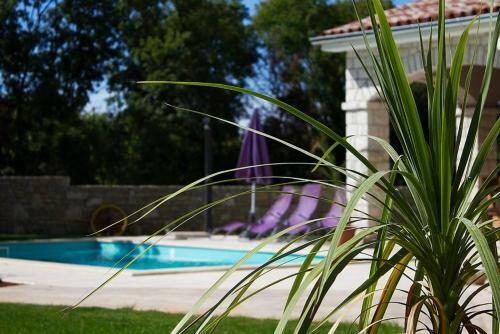 Villa Krmed With Private Pool
