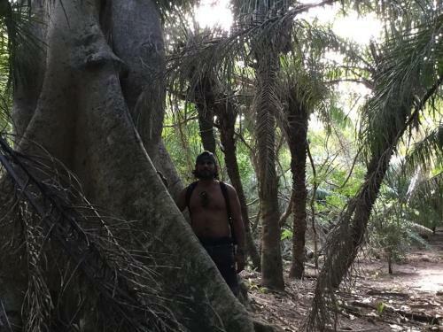 Spot Jaguar Pantanal Sul- Camping - Tour