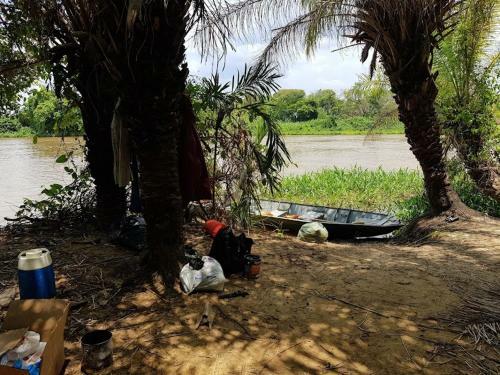 Spot Jaguar Pantanal Sul- Camping - Tour