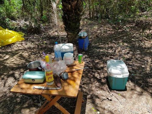 Spot Jaguar Pantanal Sul- Camping - Tour