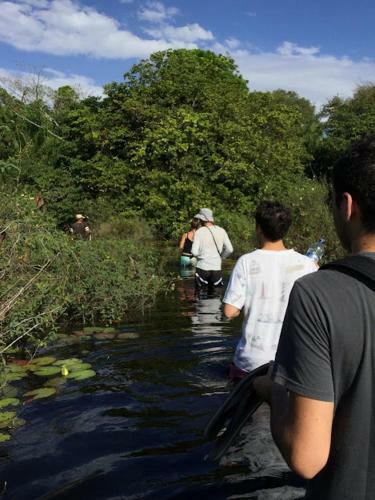 Spot Jaguar Pantanal Sul- Camping - Tour