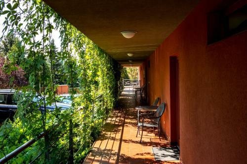 Hotel Pavilon
