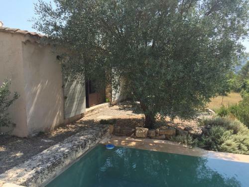 La Bastide Des Jonquets