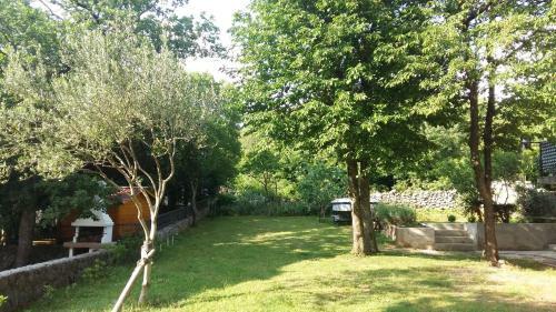 Apartman Ana