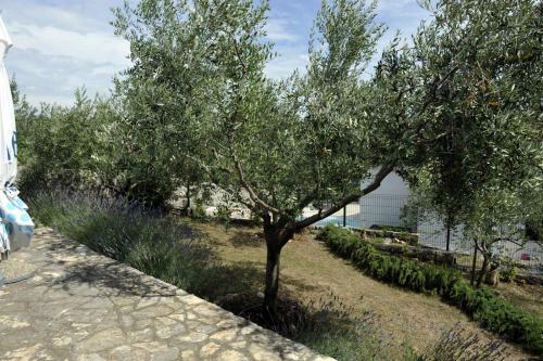 Apartman Branka