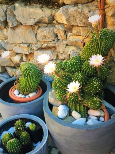Apartments House Barbara
