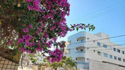 Lindo Apartamento A 370m Da Praia Do Morro, Pr�ximo � Av. Paris