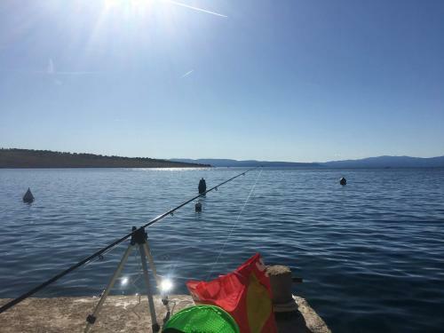 Apartments Viky