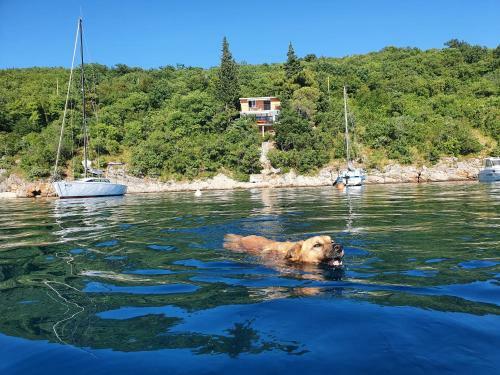 Sea House Bassi