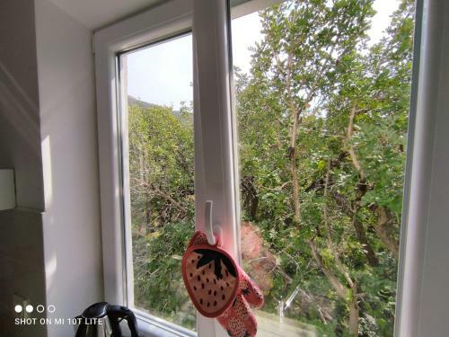 Apartamento Studio Bilka