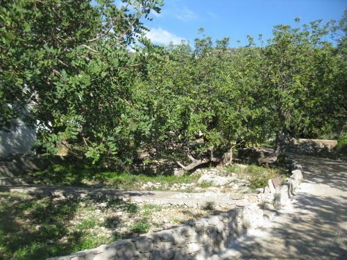 Hostal Apartments Bako Komiza
