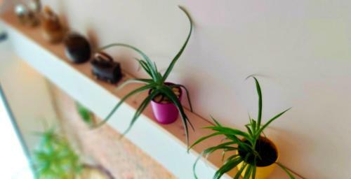 Apartamentos Just 4 You