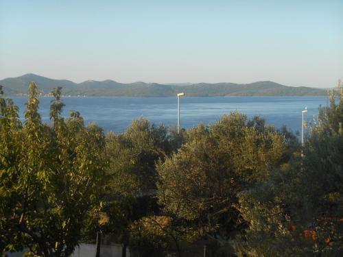 Apartmani Ankica