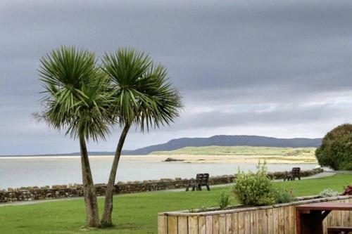 Stable View, Clara Meadows Dunfanghy