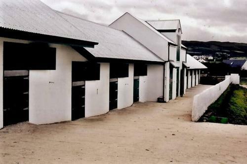 Stable View, Clara Meadows Dunfanghy