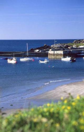 The Palm, Cnoc Na Gaoithe, Dunfanaghy