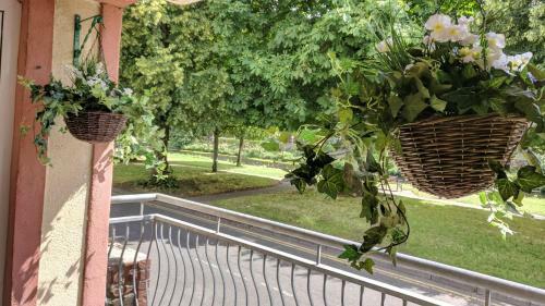 Riverview Luxury Short Stay Apartment