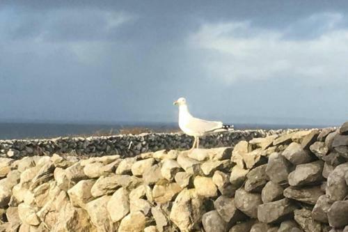 Wild Atlantic Way Apartment