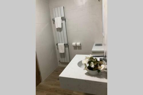 Wild Atlantic Way Apartment