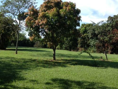 Sitio Beira Rio