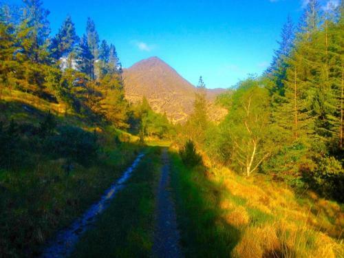 Bed & Breakfast Rugged Glen Accommodation
