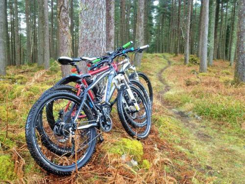 Bed & Breakfast Rugged Glen Accommodation