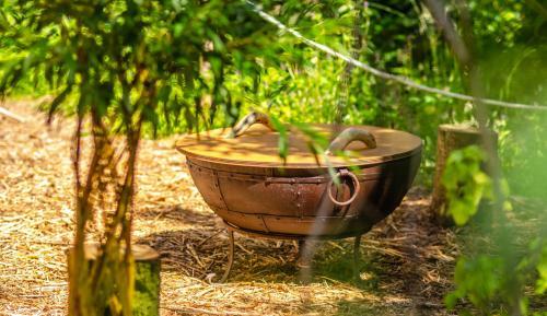 The Botanical Bell Tent