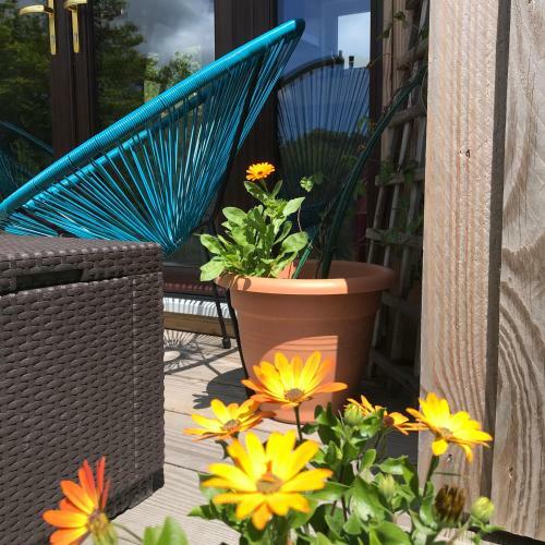 Goleen Harbour Tiny House