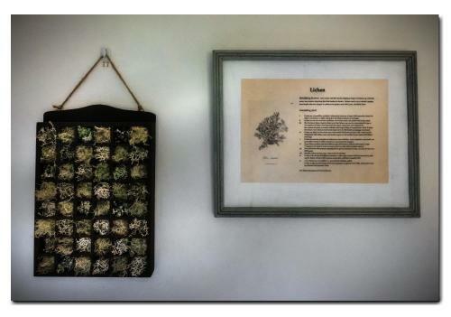 The Botanical B&B