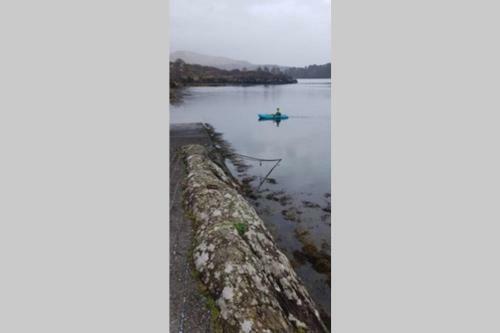 Harbourside House, Beara Way, Wild Atlantic Way