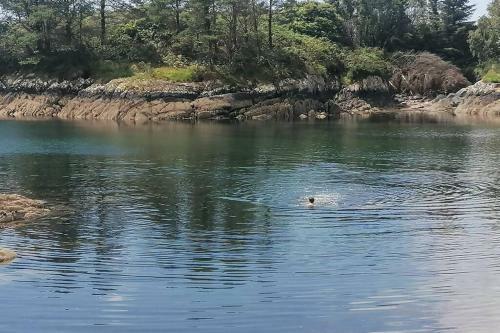 Harbourside House, Beara Way, Wild Atlantic Way