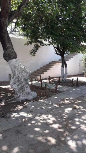 Apartamento Su�te Em Japaratinga Com Vista Do Mar