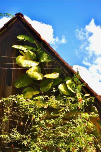 Albergue Pousada Mestre Kik�o