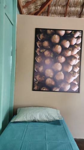 Hostal Vereda Tropical Piau�