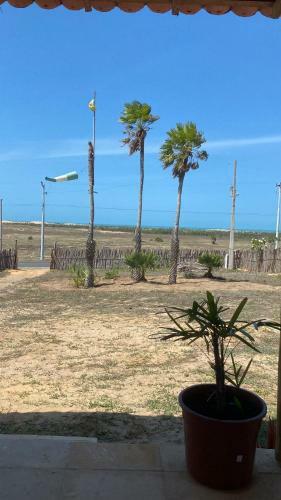 Chal� Toca Da Coruja - Praia Do Macap�/pi
