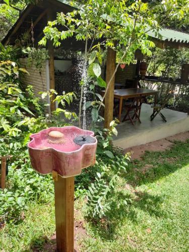 Casa Viva A Vida B&B