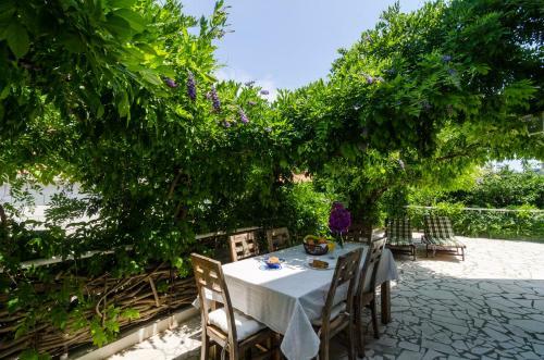 Wisteria Apartment